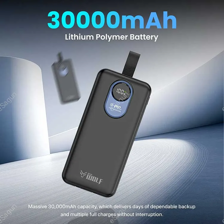 Asta Wolf Rapid 30000mAh Power Bank 