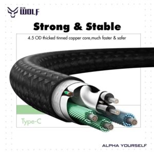 Asta WOLF Hyper | USB to Type C | 100cm Braided | Flexible | Ultra Fast Charging Data Cables | 6A Current | 120W Output |