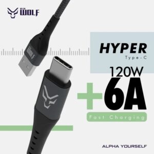 Asta WOLF Hyper | USB to Type C | 100cm Braided | Flexible | Ultra Fast Charging Data Cables | 6A Current | 120W Output |