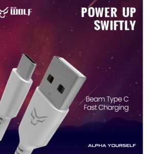 Asta WOLF Beam | Type C 100cm Data Cable With Soft Grip | TPE Silicon Wire | 3A current | 60W Output