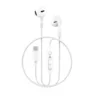 WiWU Type C Wired Earphone EB314 Ergonomic Design Sports Headsets - White