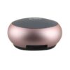 EWA A110 IPX5 Waterproof Portable Mini Metal Wireless Bluetooth Speaker - Rose Gold