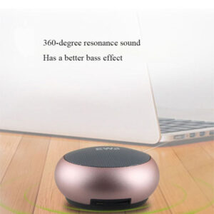 EWA A110 IPX5 Waterproof Portable Mini Metal Wireless Bluetooth Speaker